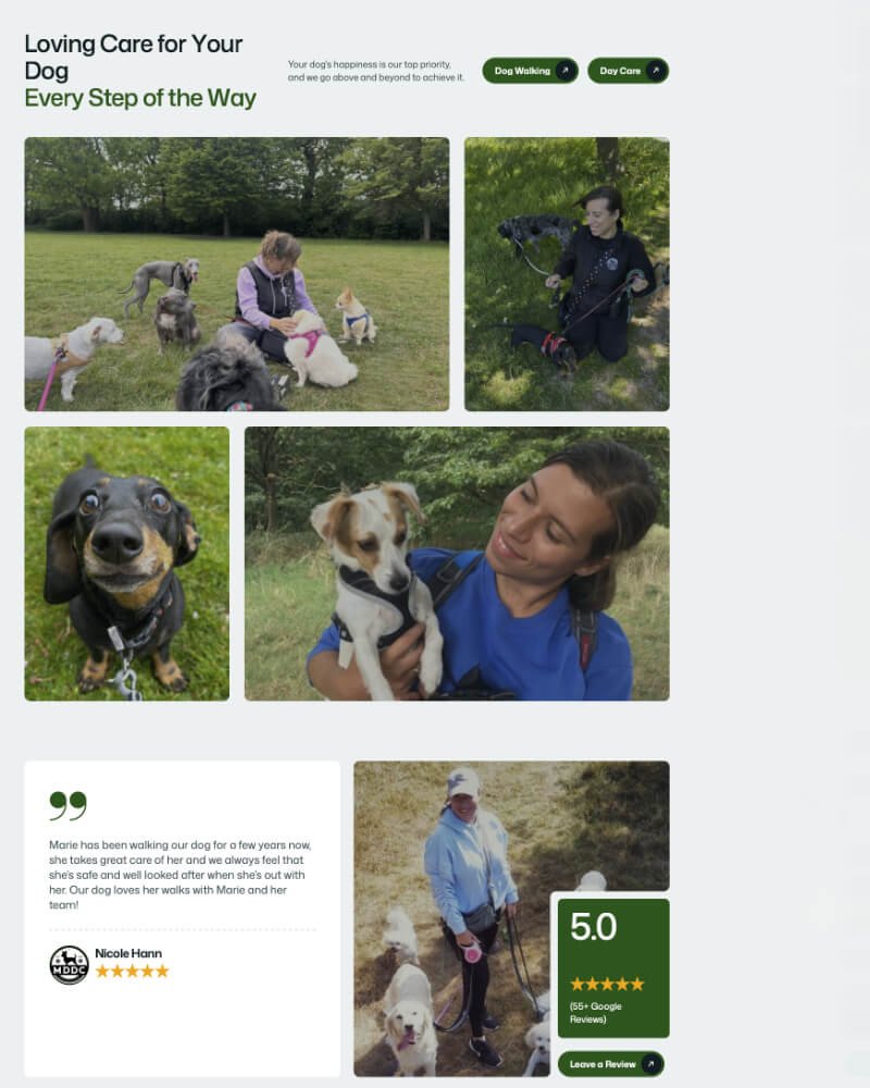 Marie's Doggy Day Care project