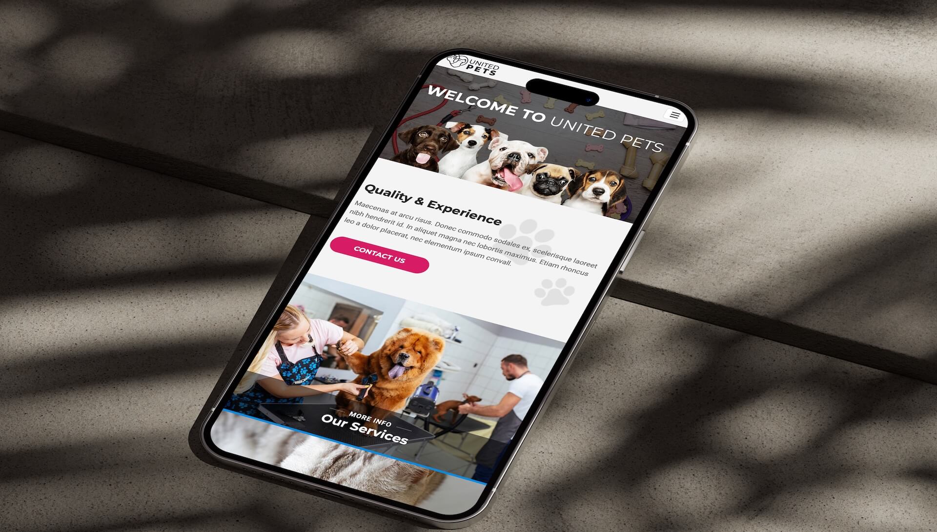 App Mockup 4